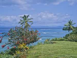 Cruise Day 12 Taveuni Fiji