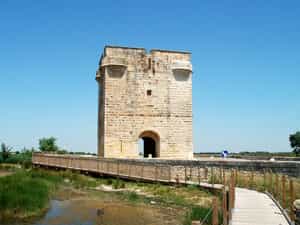 Cruise Day 3 Aigues-Mortes France