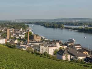 Cruise Day 5 Rüdesheim am Rhein Germany