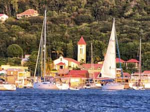 Cruise Day 6 Deshaies Guadeloupe