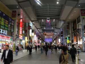 Cruise Day 10 Kumamoto Japan