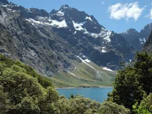 Cruise Day 6 Fiordland National Park New Zealand