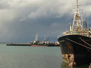 Cruise Day 9 Timaru New Zealand