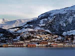 Cruise Day 8 Ørnes Norway