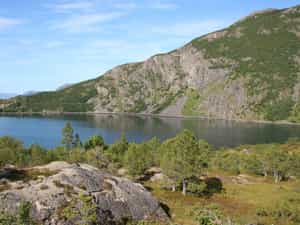Cruise Day 13 Sortland Norway