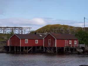 Cruise Day 13 Stamsund Norway