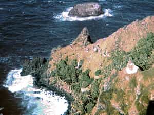 Cruise Day 25 Pitcairn Island Pitcairn Islands