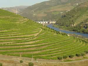 Cruise Day 6 Peso da Régua Portugal