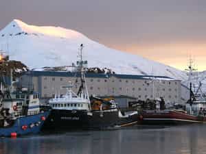 Cruise Day 9 Aleutian Islands United States