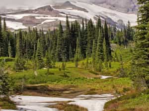 Cruise Day 14 Bremerton United States