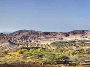 Cruise Day 3 Sir Bani Yas United Arab Emirates