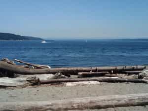 Cruise Day 15 Tacoma United States