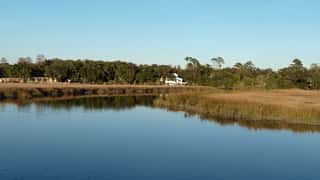 marsh and water landscape