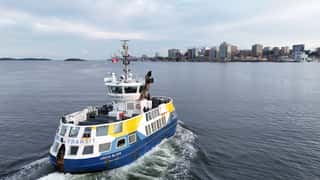 harbor ferry cityscape