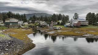 coastal village waterfront forest