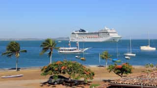 cruise ship harbor boats palm trees
