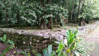 stone wall ruins forest