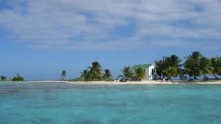 tropical island beach palm trees ocean
