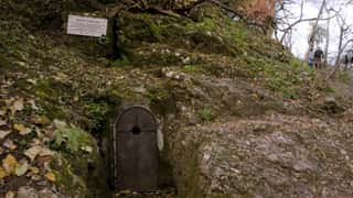 cave entrance rocky hillside forest