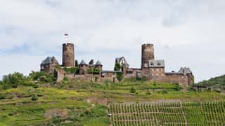 castle on hill with vineyard