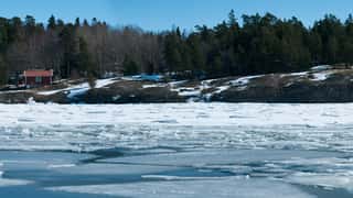 frozen coastline forest cabins