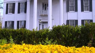historic building flowers columns