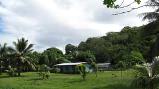 tropical landscape houses palm trees