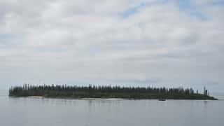 island coastline trees water