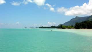tropical coastline ocean view