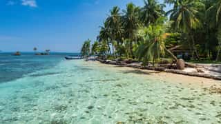 tropical island beach clear water palm trees