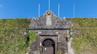 historic building facade with ivy