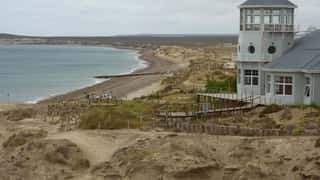 Puerto Madryn Cruise Port: Patagonia Shore Excursions Guide