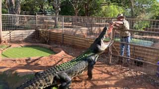 Broome (Kimberley) Cruise Port: Shore Excursions & Expert Guide