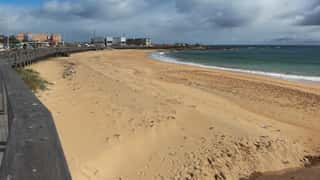 Burnie Cruise Port: Shore Excursions & Expert Expert Guide