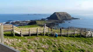 Phillip Island Cruise Port