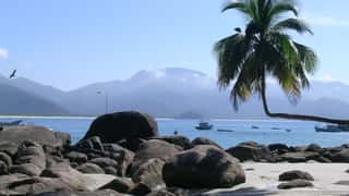 Ilha Grande Cruise Port Guide: Shore Excursions & Logistics