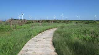 Prince Edward Island Cruise Port