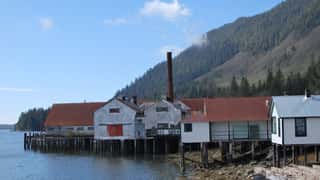 Prince Rupert Cruise Port: Shore Excursions & Expert Guide