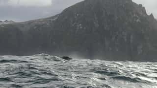 Cape Horn Cruise Port