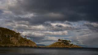 Punta Arenas Cruise Port: Shore Excursions & Expert Guide