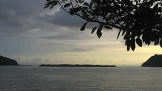 Golfito Cruise Port Guide: Shore Excursions & Expert Tips