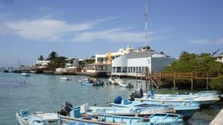 Galapagos Cruise Port: Shore Excursions & Expert Guide