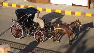 Edfu Cruise Port