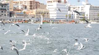 Port Said Cruise Port