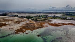 Roscoff Cruise Port: Shore Excursions & Expert Guide