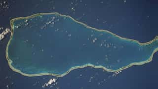 Rangiroa Cruise Port Guide: Shore Excursions & Expert Tips
