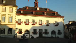 Linz am Rhein Cruise Port: Expert Shore Excursion Guide