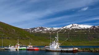 Seyðisfjörður Cruise Port