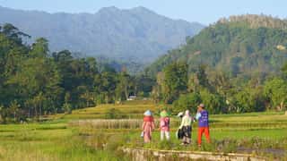 Bitung Cruise Port: Expert Guide to North Sulawesi Excursions