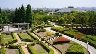 Himeji Cruise Port: Shore Excursions & Expert Expert Guide
